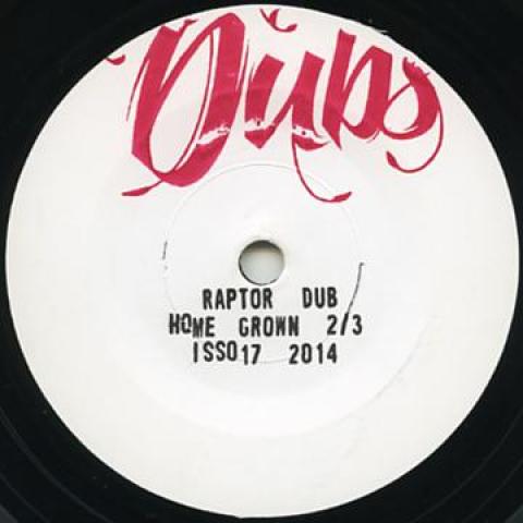 7inch Record INDICA DUBS - Raptor Dub / Dub Mix ISS017 Indica Dubs 2014 UK Reggae, Ska & Dub